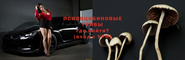 mix Рославль